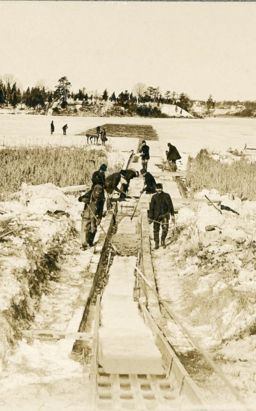 <h3>Ice Cutting, East Marion</h3>
<br>
<p><i>Photographer unknown</i></p>
<strong>Ca. 1900</strong>
<br>
<br>
<p>Most of East Marion Lake is shown here with a number of men at work. This fresh water lake is very close to Peconic Bay, protected only by a narrow strip of beach.  When the blocks of ice were cut they were dragged along a narrow channel to the ice houses.</p>