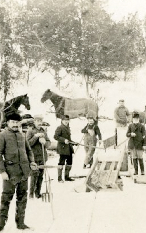 <h3>Ice Cutting, East Marion</h3>
<br>
<p><i>Photographer unknown</i></p>
<strong>Ca. 1900</strong>
<br>
<br>
<p>This scene shows a large group of workers posing for a photograph with horses, ice saws and other equipment needed for this winter work. Ice cutting was a major winter activity in East Marion for many decades.</p>