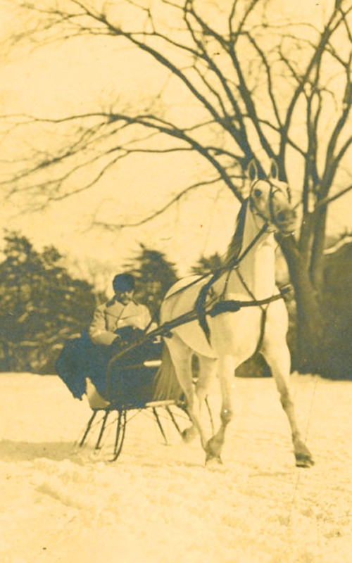<h3>A Horse-Drawn Sleigh</h3>
<p><i>Photographer unknown</i>
<br>
<strong>Late nineteenth or early twentieth century</strong>
<br>
Oil on Canvas</strong></p>
<br>
<p>This photograph shows Bryant L. Young (1872-1915) driving a horse-drawn sleigh somewhere in Orient. Bryant Young was active in Orient as a member of the Poquatuck Hook and Ladder Co., the Orient chapter of the Junior Order of United American Mechanics, and the Methodist Church.</p>