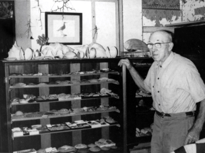 Naturalist Roy Latham pictured with a small part of his collection of sealife specimens.