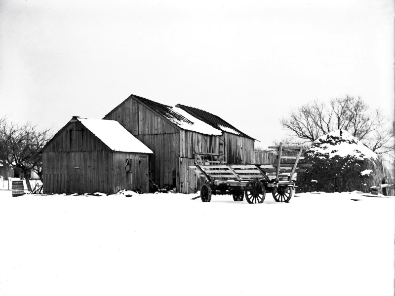 Wm. Steeple Davis. Barn and Stock. Photograph, March 7, 1914.
