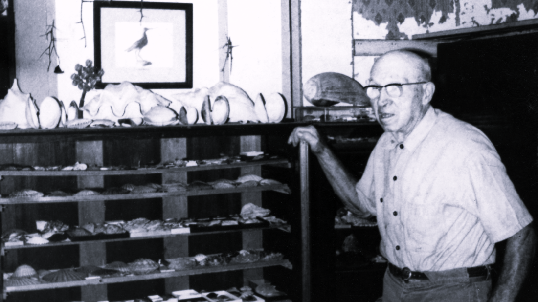 Roy Latham’s Journals
